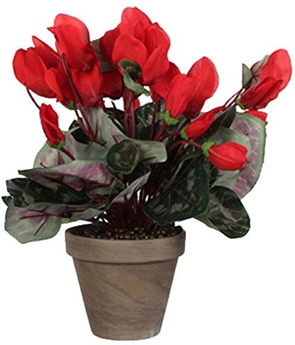 MICA Decorations Fiori, Cyclamen, Colore: Rosso