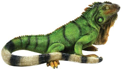 Michael Carr Designs BFG Supply Iguana S Reptile Collection by  Statuetta di lucertola da esterno per giardini, cortili e prati (), verde, media