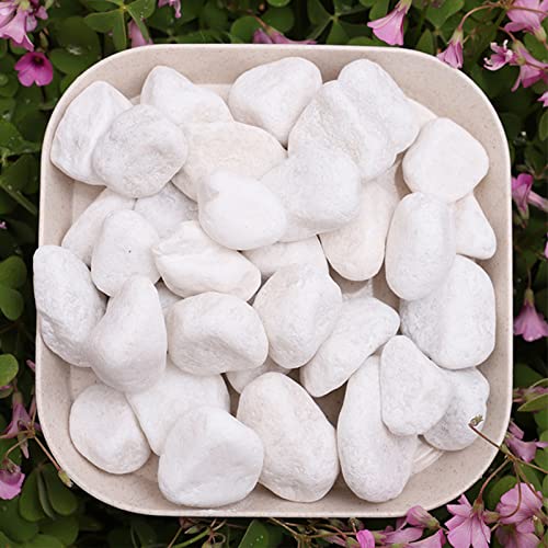 Hoobao 500g Ciottoli Bianchi,Sassolini Bianchi Decorativi per Vasi,Ghiaia Naturale Decorazione dell'acquario,per Vaso da Fiori Acquari da Giardino Succulenti Acquario,Casa e Giardino