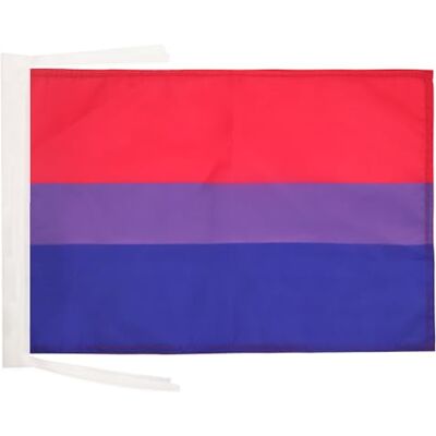 Unknown - Bandiera arcobaleno bisessuale 45x30cm - Rainbow - Flag Unknown - Bandiera arcobaleno bisessuale 45x30cm - Rainbow - Flag