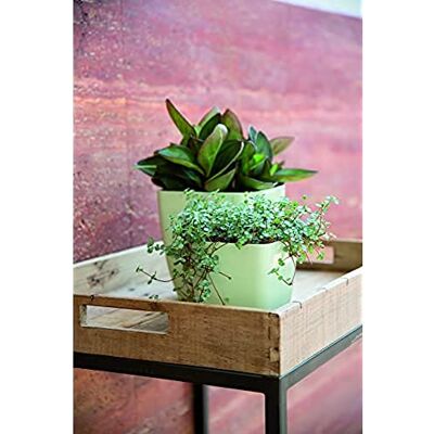 NICOLI Origine Decor iniezione stampaggio Verve Vaso Quadrato, Salvia, 13 cm NICOLI Origine Decor iniezione stampaggio Verve Vaso Quadrato, Salvia, 13 cm