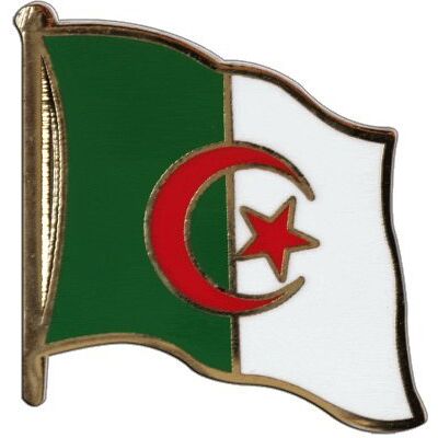 Digni ® Bandiera Algeria spilla Digni ® Bandiera Algeria spilla