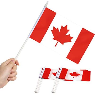 Anley Bandiera Canada Stick, Canadese 5.5x8 pollici (12 X 20 cm) Mini bandiera portatile con asta solida bianca da 12 "(30 cm) Colore vivido e resistente allo sbiadimento -5.5 x 8 pollici Bandiere Anley Bandiera Canada Stick, Canadese 5.5x8 pollici (12 X 20 cm) Mini bandiera portatile con asta solida bianca da 12 "(30 cm) Colore vivido e resistente allo sbiadimento -5.5 x 8 pollici Bandiere