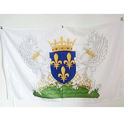 AZ Flag - Drapeau France Charles VII - Flag AZ Flag - Drapeau France Charles VII - Flag