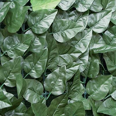 TENAX Divy Laurus Net siepe Sintetica in Poliestere con Rete Tessuta schermante, Verde, 1,00x3 m TENAX Divy Laurus Net siepe Sintetica in Poliestere con Rete Tessuta schermante, Verde, 1,00x3 m