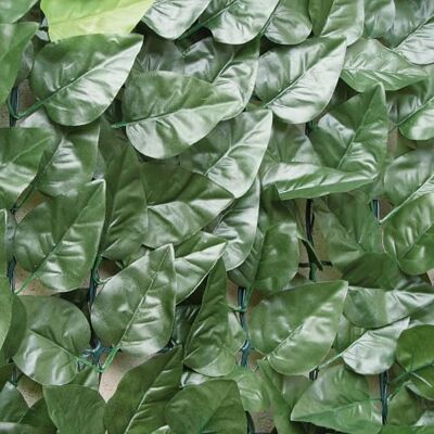 TENAX Divy Laurus 1,50x20 m Verde, Siepe Artificiale con Foglie in Poliestere Tipo Lauro, Schermatura Frangivista TENAX Divy Laurus 1,50x20 m Verde, Siepe Artificiale con Foglie in Poliestere Tipo Lauro, Schermatura Frangivista