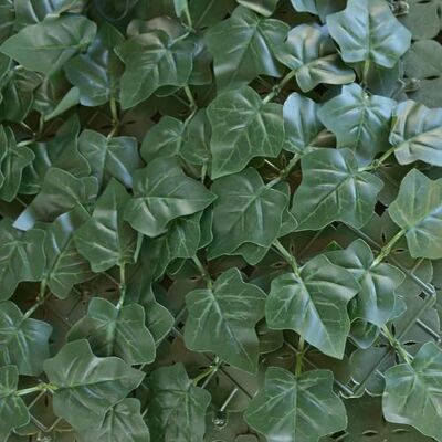 TENAX Divy Hedera Plus 100x300 cm Verde, Siepe Sintetica con Foglie in Polietilene Tipo Edera a Schermatura Totale per Balconi, Giardini e Recinzioni TENAX Divy Hedera Plus 100x300 cm Verde, Siepe Sintetica con Foglie in Polietilene Tipo Edera a Schermatura Totale per Balconi, Giardini e Recinzioni
