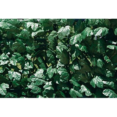 VERDEMAX 1 x 3 m verdecor siepi con Foglie Come Ivy VERDEMAX 1 x 3 m verdecor siepi con Foglie Come Ivy