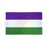 AZ FLAG Bandiera Suffragette 150x90cm Bandiera Diritto di Voto per Le Donne 90 x 150 cm