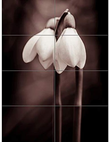 Artery8 Two Snowdrops Photograph XL Giant Panel Poster (8 Sections) Neve Fotografia Manifesto