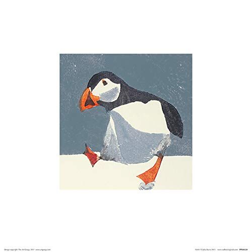 Julia Burns (Puffin) -Stampa Artistica 30 x 30 cm, Carta, Multicolore, 30 x 30 x 1.3 cm