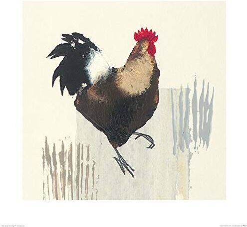 Stampa Artistica Julia Burns (Cockerel), Carta, Multicolore, 60 x 60 x 1.3 cm