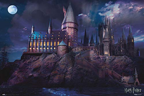 Grupo Erik : Poster da parete Harry Potter Hogwarts, Poster 61x91,5 cm, Poster Harry Potter da muro, Harry Potter gadget