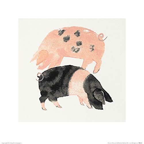 Julia Burns (Gloucester Old Spot And Saddleback Pigs) -Stampa Artistica 40 x 40 cm, Carta, Multicolore, 40 x 40 x 1.3 cm