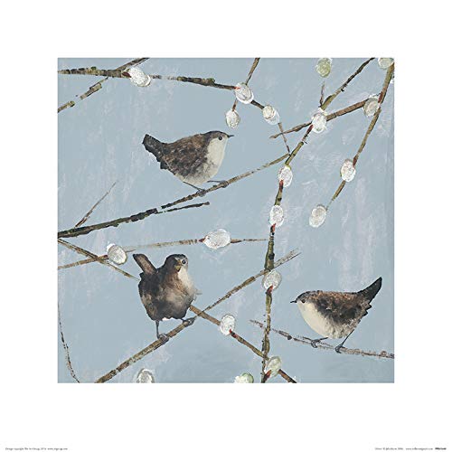 Julia Burns (Wrens) -Stampa Artistica 40 x 40 cm, Carta, Multicolore, 40 x 40 x 1.3 cm