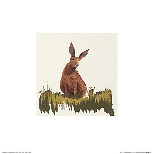 Julia Burns-Stampa Artistica con Lepre, 30 x 30 cm, Carta, Multicolore, 30 x 30 x 1.3 cm
