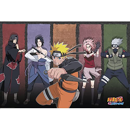 ABYSTYLE Naruto Allies Maxi poster 61 x 91,5 cm
