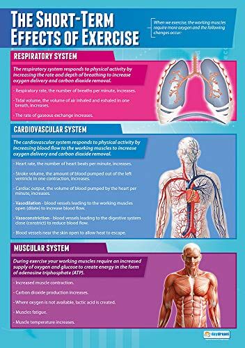 Daydream Education Gli effetti a breve termine dell'esercizio   Poster PE   Carta lucida misura 850 mm x 594 mm (A1)   Grafici per l'educazione fisica per l'aula   Grafici educativi