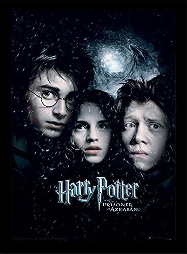 Harry Potter Stampa incorniciata prigioniero di Azkaban, 30 x 40 cm