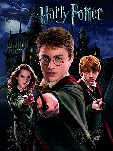 Harry Potter Tela, Poliestere, Harry, Ron e Hermione, 40 X 50 cm