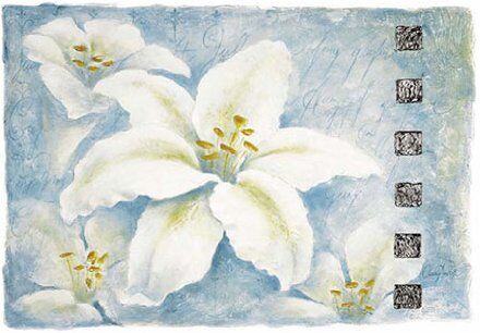 EuroGraphics , Claudia Ancilotti, Silver Lily, Stampa Artistica di Alta qualità, Motivo: Lilie, 60 x 80 cm