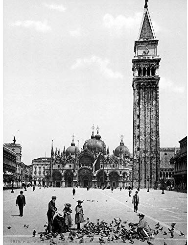 Wee Blue Coo Piazza San Marco Campanile Venice Italy 1895 Old BW Art Print Poster Wall Decor 12X16 Inch