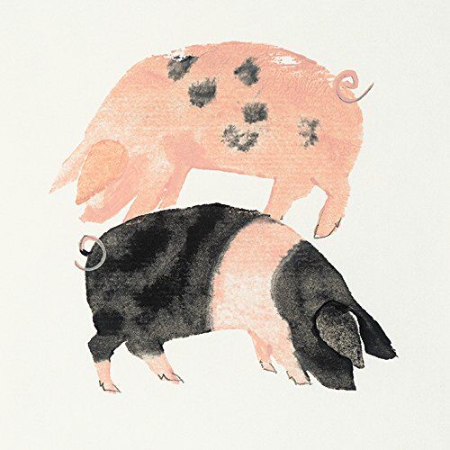 Julia Burns Stampa su Tela di Gloucester Old Spot And Saddleback Pigs, 40 x 40 cm, Poliestere, Multicolore