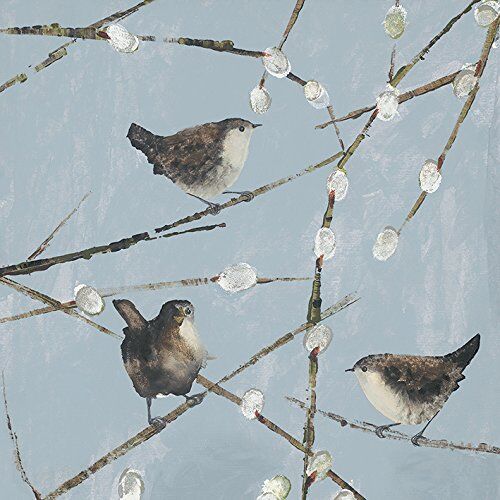 ART Stampa su Tela Julia Burns Wrens, Cotone, Multicolore, 1.80 x 30.00 x 30.00 cm