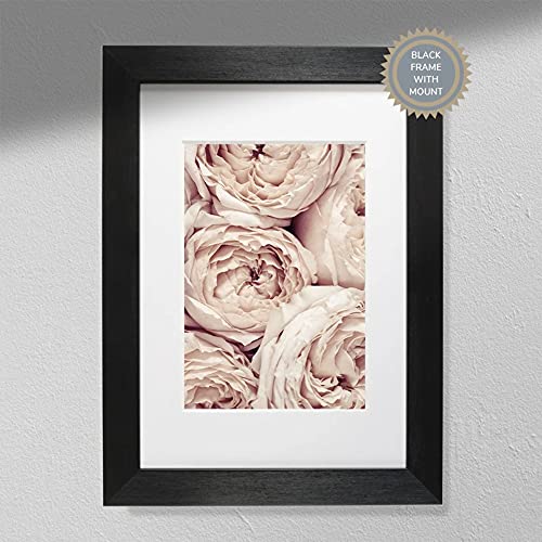 Hygge Creations Rose Rosa Chiaro Rose Fotografia Poster   Stampa Fiori   Rose Print Only A4