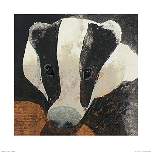 Julia Burns (Badger) -Stampa Artistica 60 x 60 cm, Carta, Multicolore, 60 x 60 x 1.3 cm