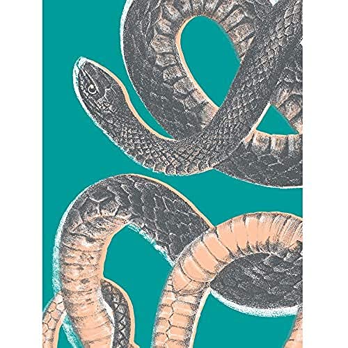 Wee Blue Coo Snake Illustration Modern Biodiversity Unframed Art Print Poster Wall Decor 12x16 inch Illustrazione Manifesto Parete
