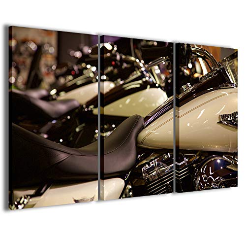 Stampe su Tela , Harley XIV Quadri Moderni in 3 pannelli già intelaiati, canvas, pronto per essere appeso, 120x90cm