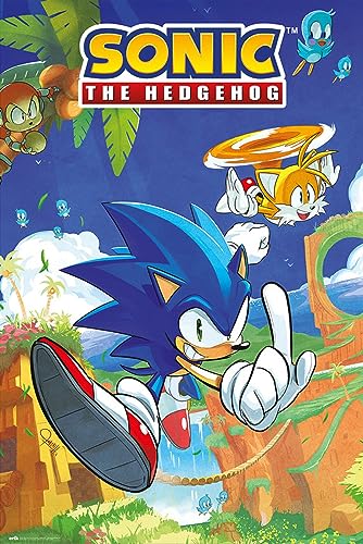 Grupo Erik : Poster Sonic Sonic & Tails   Poster da parete Sonic, 61 x 91,5 cm, Poster da muro con carta lucida e incorniciabile, Sonic The Hedgehog Gadget