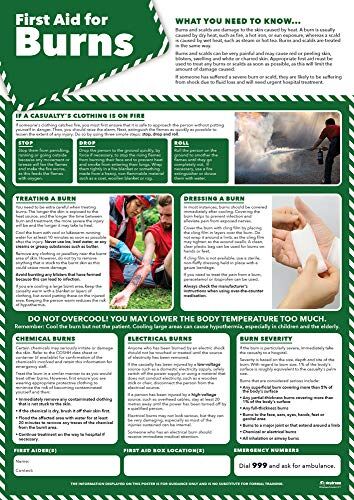 Daydream Education daydream Poster First Aid for Burns (Versione Inglese)