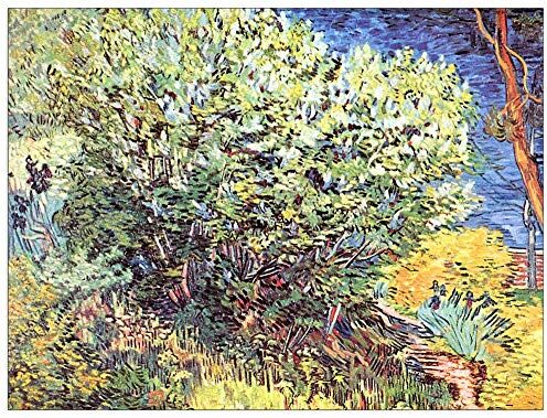 ArtPlaza Van Gogh Vincent The bush Decorative Panel, Wood MDF, Multicolour, 120x90 Cm