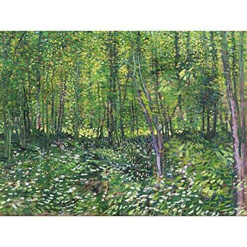 Stampa artistica da parete su tela, motivo: alberi e sottobosco di Vincent Van Gogh, grande