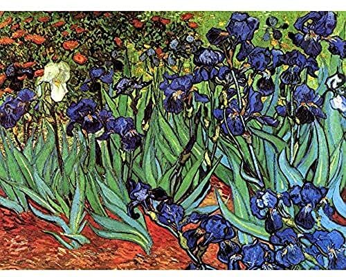 Wee Blue Coo Van Gogh Irises Unframed Wall Art Print Poster Home Decor Premium Parete Manifesto Casa