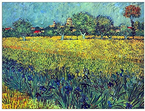 ArtPlaza Van Gogh Vincent View of Arles with irises Decorative Panel, Wood MDF, Multicolour, 80x60 Cm