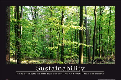 Empire 541 123 Motivazionale sostenibile Poster Foreste Foresta Motivational Poster Taglia Maxi Poster 91.5 x 61 cm