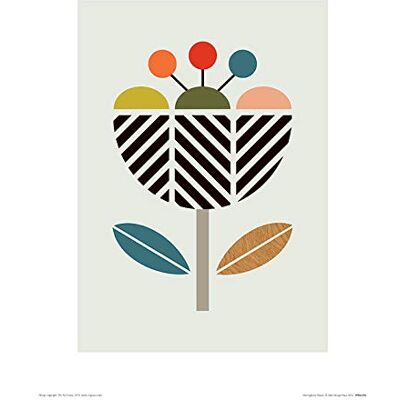 L' Arte Gruppo Little Design Haus (a Spina di Pesce Fiore) – Stampa Artistica 30 x 40 cm, Carta, Multicolore, 30 x 40 x 1.3 cm L' Arte Gruppo Little Design Haus (a Spina di Pesce Fiore) – Stampa Artistica 30 x 40 cm, Carta, Multicolore, 30 x 40 x 1.3 cm