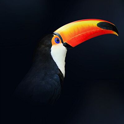 ART Quadro da Parete, Multicolore ART Quadro da Parete, Multicolore