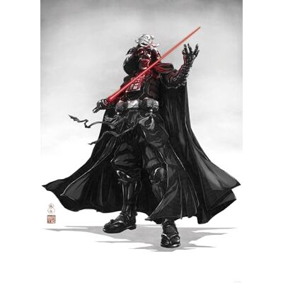 Komar Quadro da parete Star Wars Vision Samurai Dark Lord dimensioni 50 x 70 cm cameretta dei bambini Komar Quadro da parete Star Wars Vision Samurai Dark Lord dimensioni 50 x 70 cm cameretta dei bambini