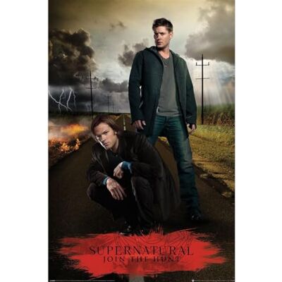 Pyramid Maxi poster ufficiale Supernatural (paradiso e inferno), decorazione da parete, 61 x 91,5 cm, poster per camere da letto, dormitori e fan Pyramid Maxi poster ufficiale Supernatural (paradiso e inferno), decorazione da parete, 61 x 91,5 cm, poster per camere da letto, dormitori e fan