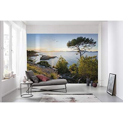 Komar Carta da parati fotografica in tessuto non tessuto, XXL, decorativa, dimensioni 400 x 280 cm (larghezza x altezza), multicolore Komar Carta da parati fotografica in tessuto non tessuto, XXL, decorativa, dimensioni 400 x 280 cm (larghezza x altezza), multicolore