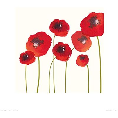 L' Arte Gruppo Nicola Evans (Papaveri) – Stampa Artistica 40 x 40 cm, Carta, Multicolore, 40 x 40 x 1.3 cm L' Arte Gruppo Nicola Evans (Papaveri) – Stampa Artistica 40 x 40 cm, Carta, Multicolore, 40 x 40 x 1.3 cm