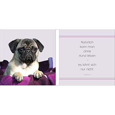 PRO-Art Dipinto murale, Arte su Vetro, Mix & Match Duo ohne Hund Leben, 2 x 20 x 20 cm PRO-Art Dipinto murale, Arte su Vetro, Mix & Match Duo ohne Hund Leben, 2 x 20 x 20 cm