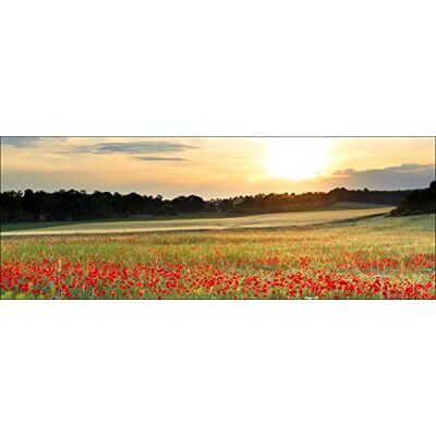 PRO-Art-Immagini Gamma gla1269 C Poppyfield Vetro, Multicolore, 30 x 80 x 1,3 cm PRO-Art-Immagini Gamma gla1269 C Poppyfield Vetro, Multicolore, 30 x 80 x 1,3 cm