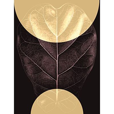 Komar Quadro da parete Shadow Theatre, dimensioni: 30 x 40 cm, stampa artistica per soggiorno, camera da letto Komar Quadro da parete Shadow Theatre, dimensioni: 30 x 40 cm, stampa artistica per soggiorno, camera da letto