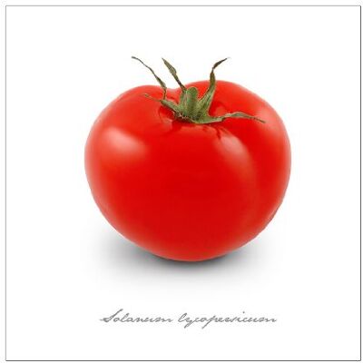 PRO-Art Quadro da Parete su Vetro Pomodoro, 50 x 50 cm PRO-Art Quadro da Parete su Vetro Pomodoro, 50 x 50 cm