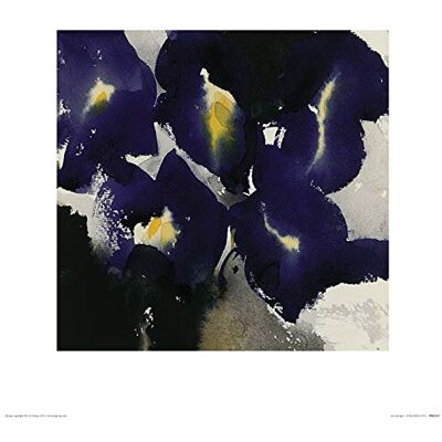 L' Arte Gruppo David Ross (Iris Laevigata) – Stampa Artistica 40 x 40 cm, Carta, Multicolore, 40 x 40 x 1.3 cm L' Arte Gruppo David Ross (Iris Laevigata) – Stampa Artistica 40 x 40 cm, Carta, Multicolore, 40 x 40 x 1.3 cm